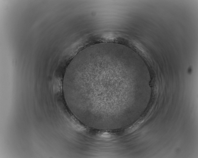 X0000089340467200706221121