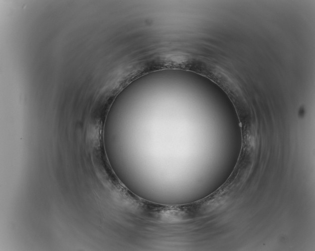 X0000089340468200706221121