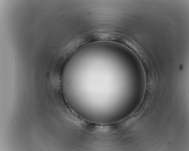 X0000089340469200706221121