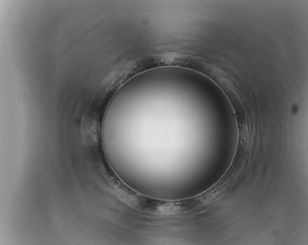 X0000089340470200706221121
