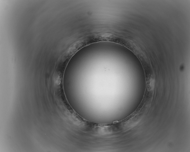 X0000089340472200706221121