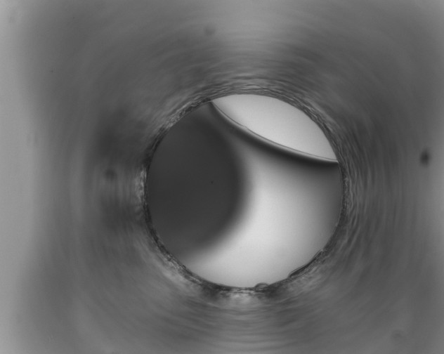 X0000089340475200706221121