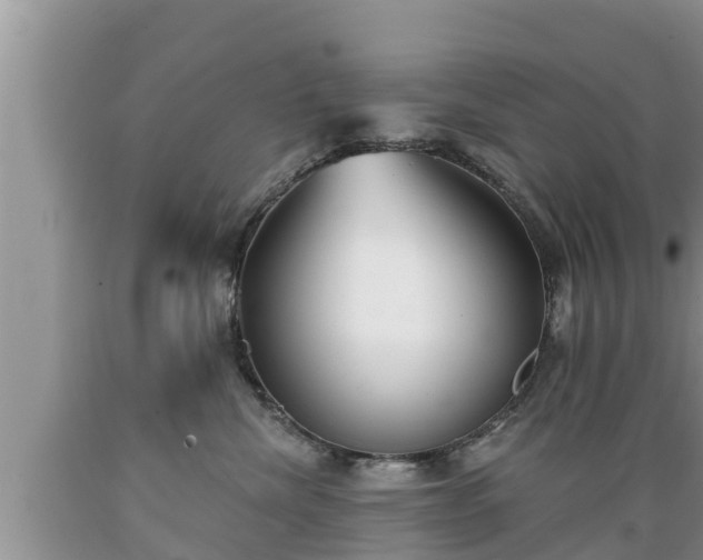 X0000089340476200706221121