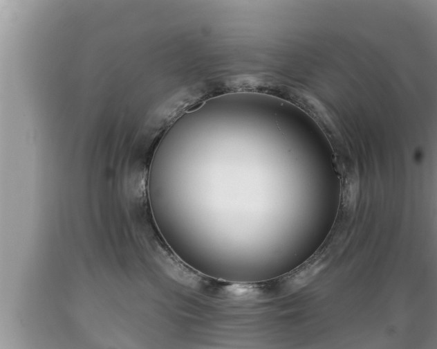 X0000089340477200706221121