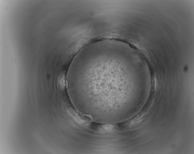 X0000089340479200706221121