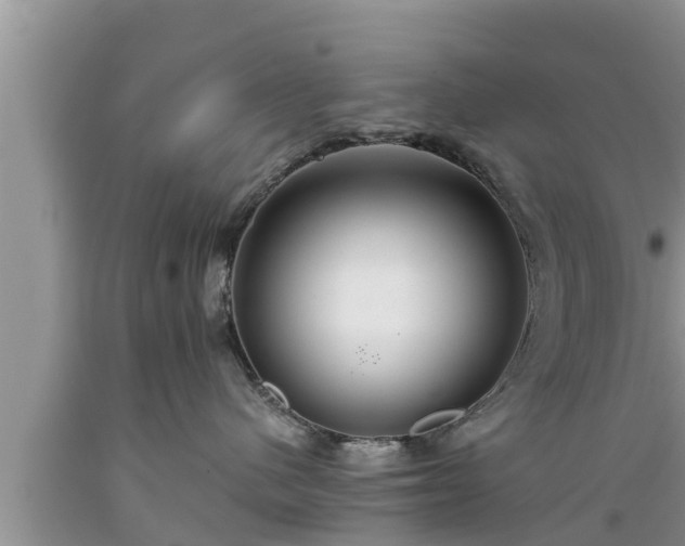 X0000089340480200706221121