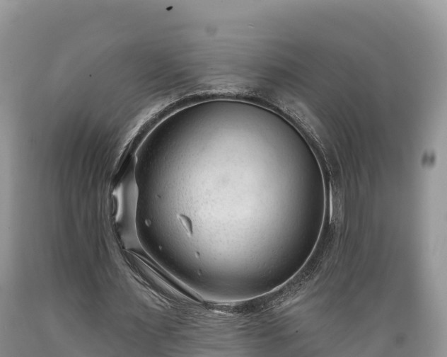 X0000089340483200706221121
