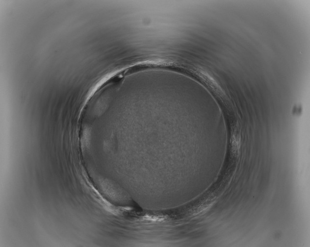 X0000089340484200706221121