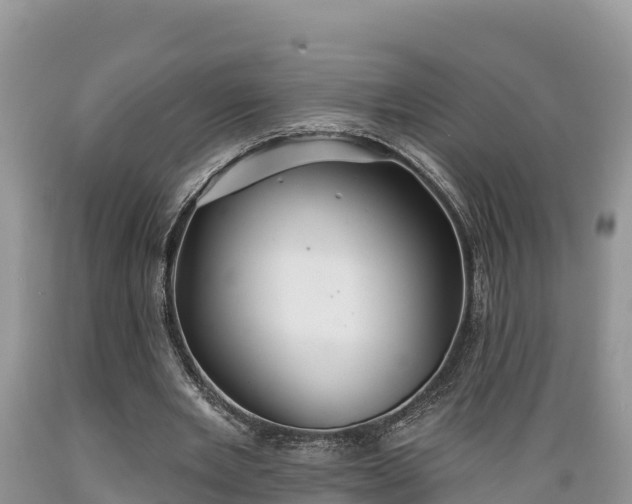 X0000089340485200706221121