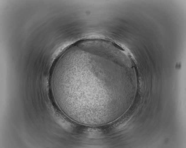 X0000089340487200706221121