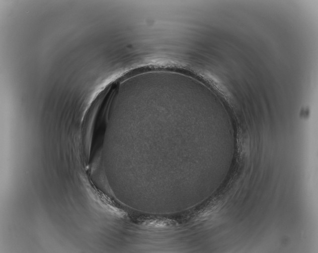 X0000089340488200706221121