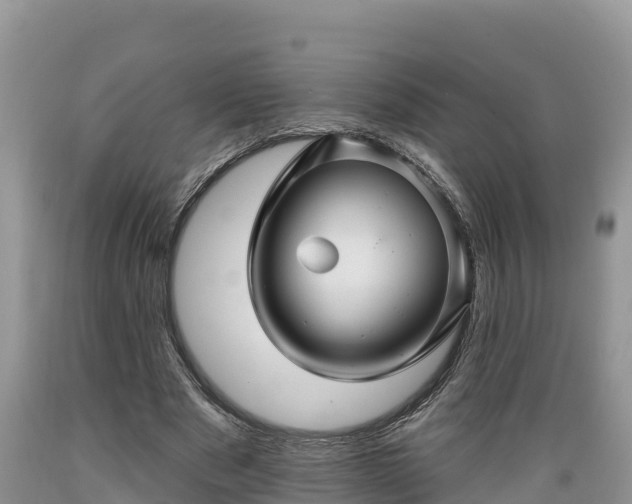 X0000089340489200706221121