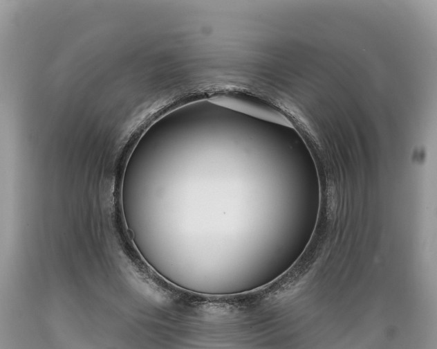 X0000089340490200706221121