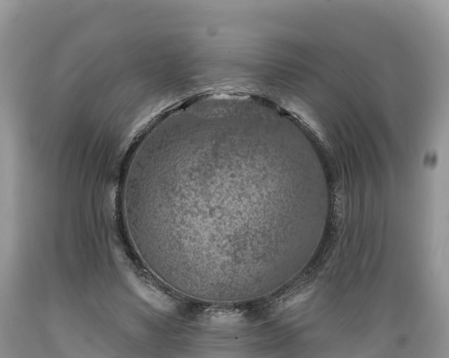 X0000089340491200706221120