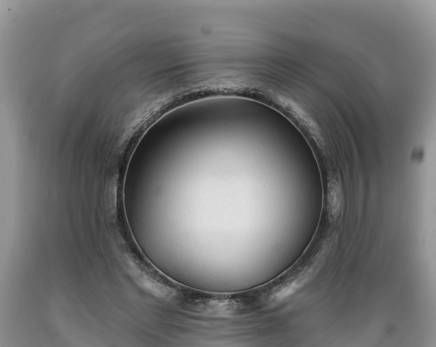 X0000089340493200706221120