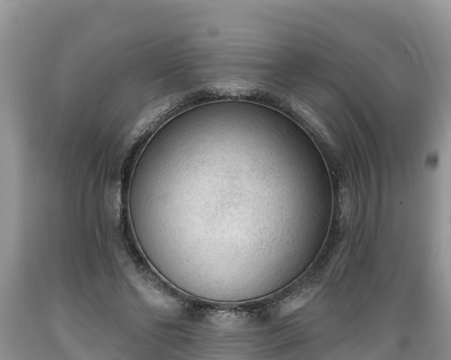 X0000089340494200706221120
