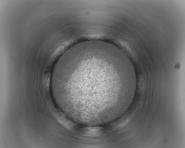 X0000089340495200706221120