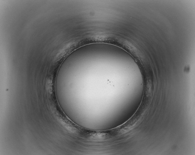 X0000089340497200706221120