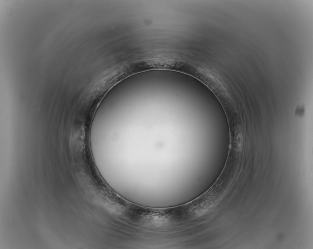 X0000089340498200706221120