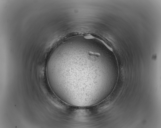 X0000089340499200706221120