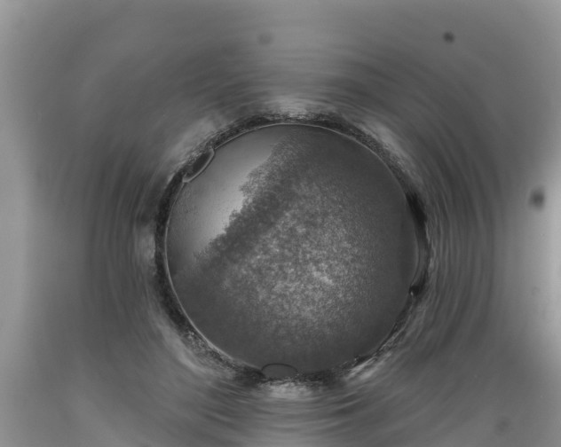 X0000089340500200706221120