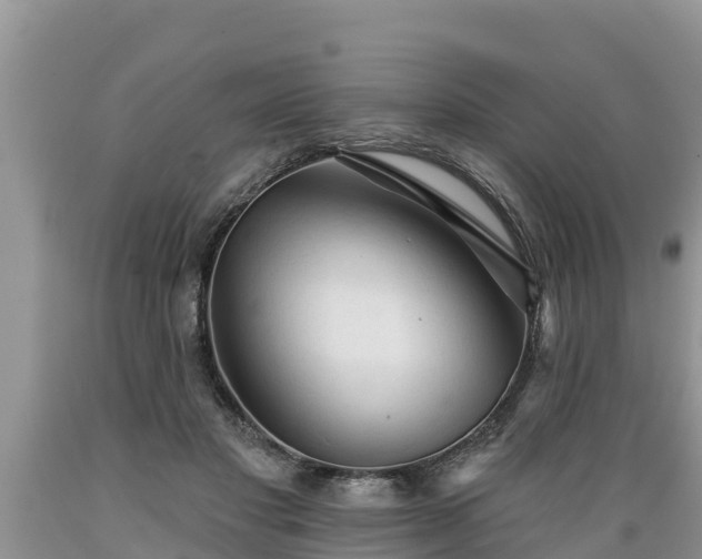 X0000089340501200706221120