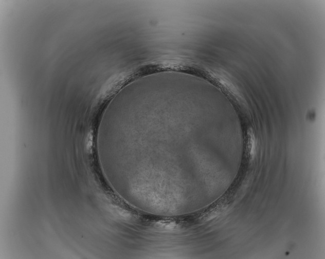 X0000089340502200706221120
