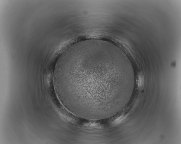 X0000089340503200706221120