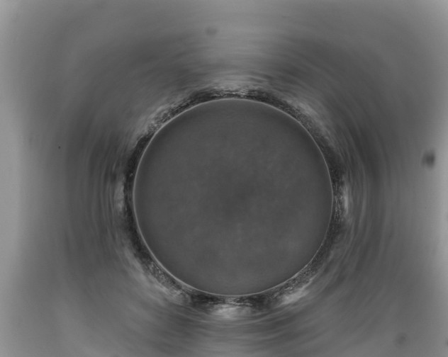 X0000089340504200706221120