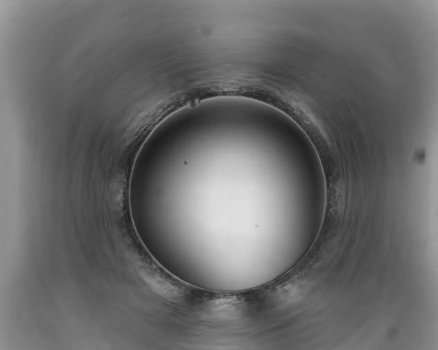 X0000089340505200706221120