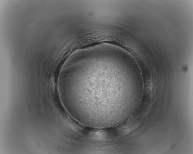X0000089340506200706221120
