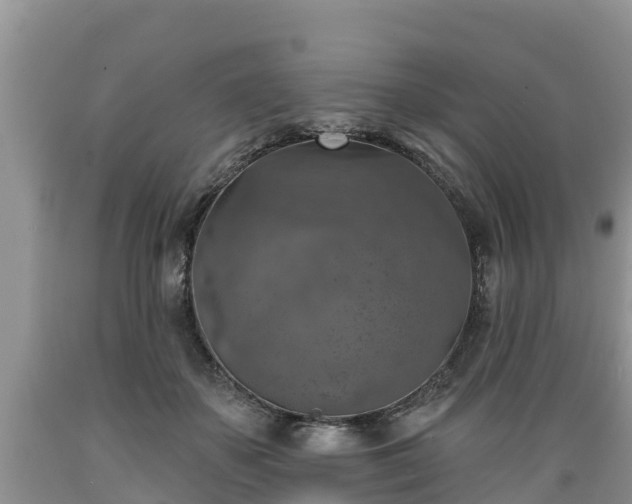 X0000089340507200706221120