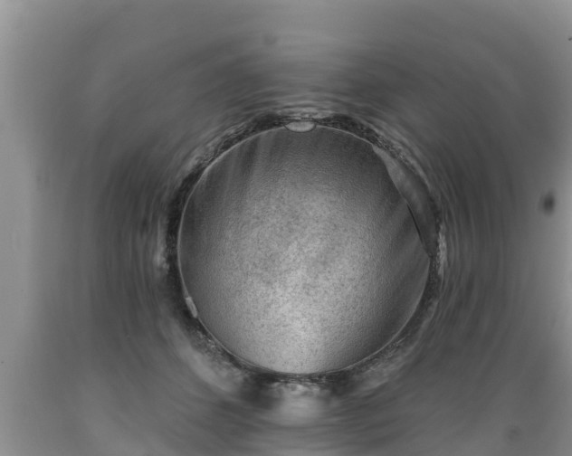 X0000089340512200706221120