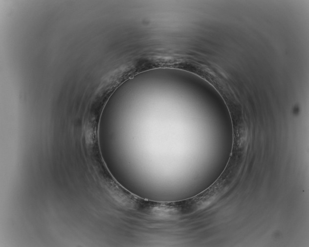 X0000089340515200706221120