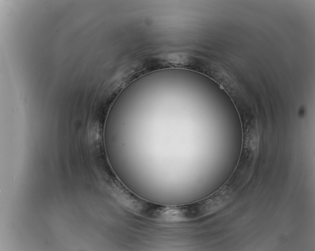 X0000089340518200706221120
