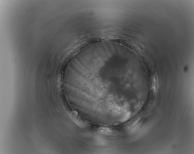 X0000089340519200706221120