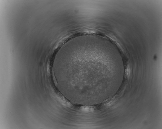 X0000089340520200706221120