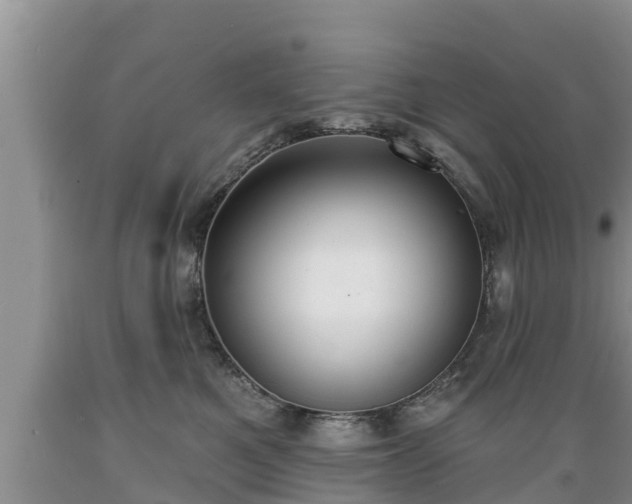 X0000089340521200706221120