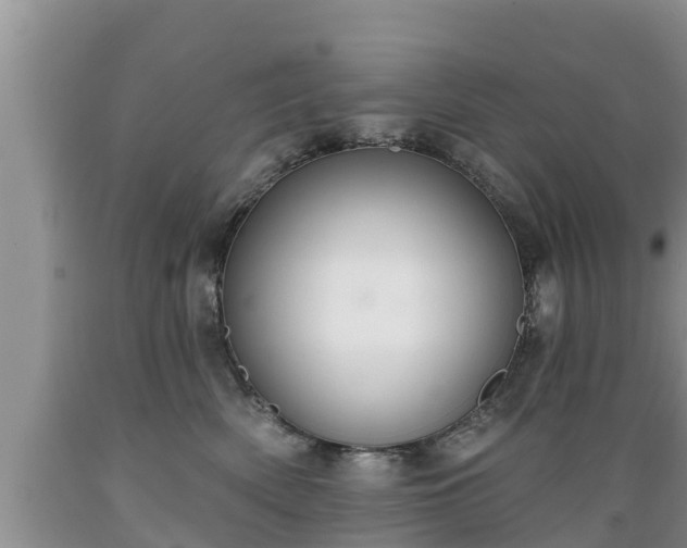 X0000089340522200706221120