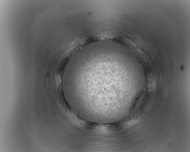 X0000089340523200706221120