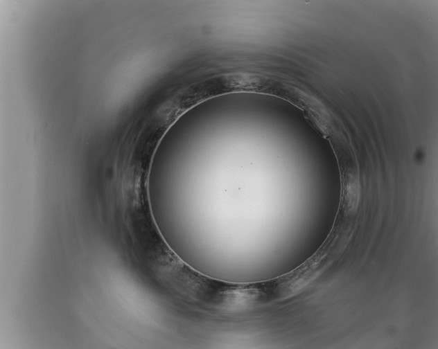 X0000089340525200706221120