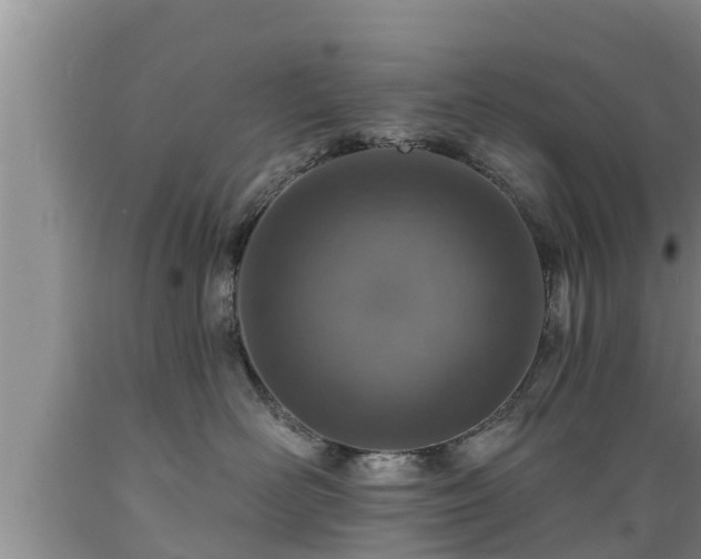 X0000089340526200706221120