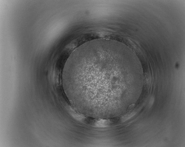 X0000089340527200706221120