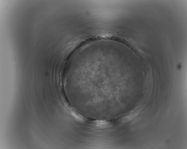 X0000089340528200706221120