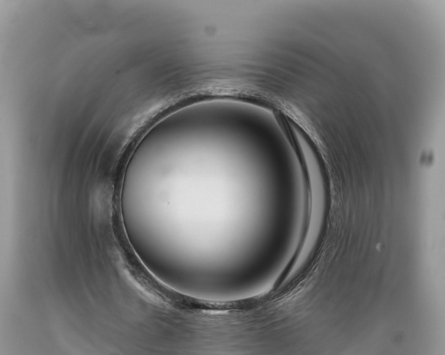 X0000089340530200706221119