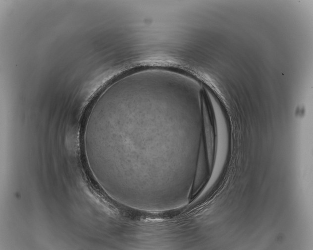 X0000089340531200706221119