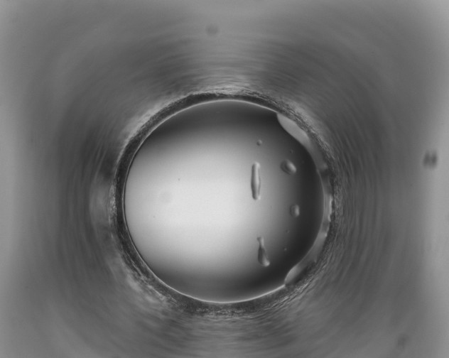 X0000089340532200706221119