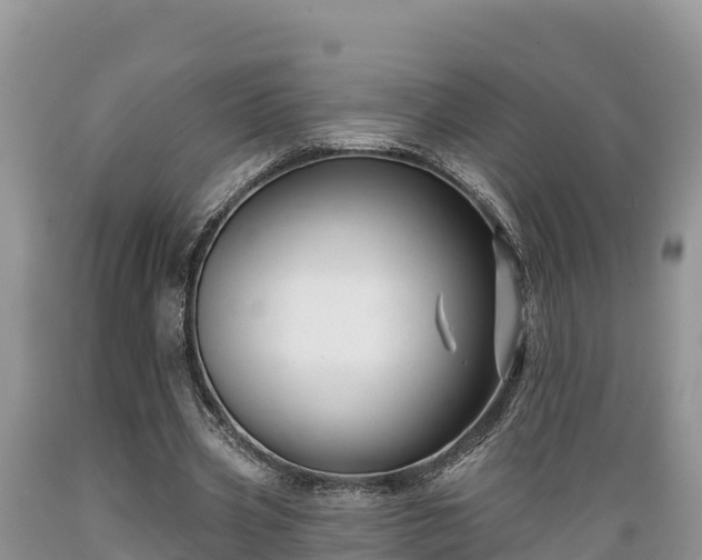 X0000089340533200706221119