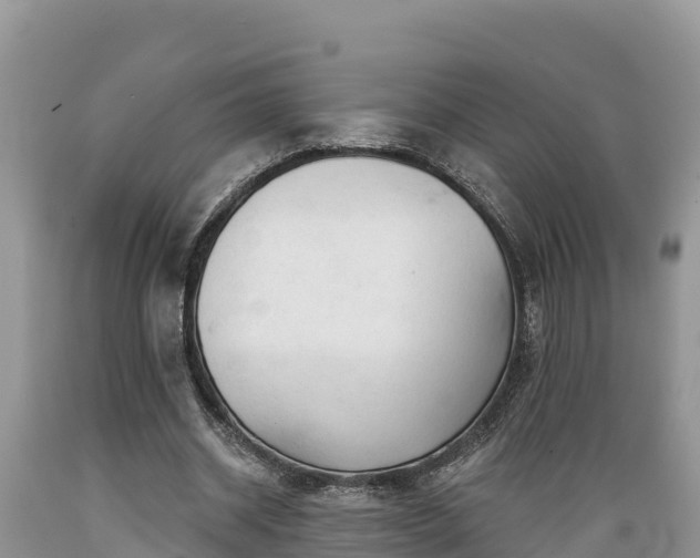 X0000089340534200706221119
