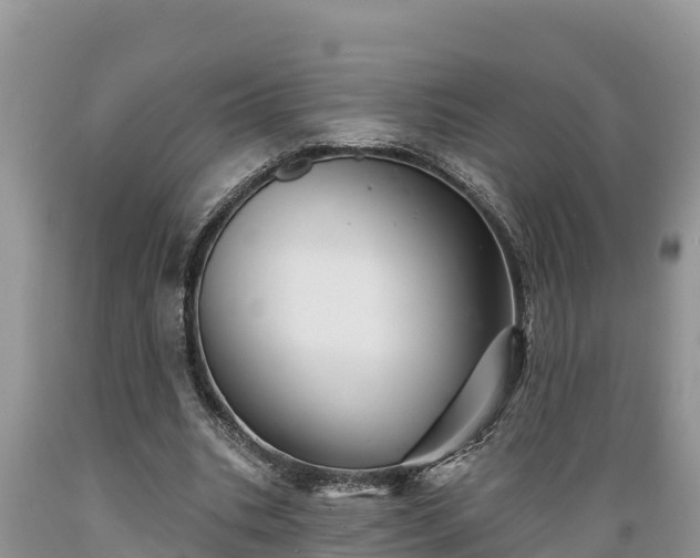X0000089340535200706221119